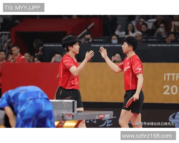 北京乒乓球队团队协作能力大幅提升再创佳绩引发广泛关注与赞誉